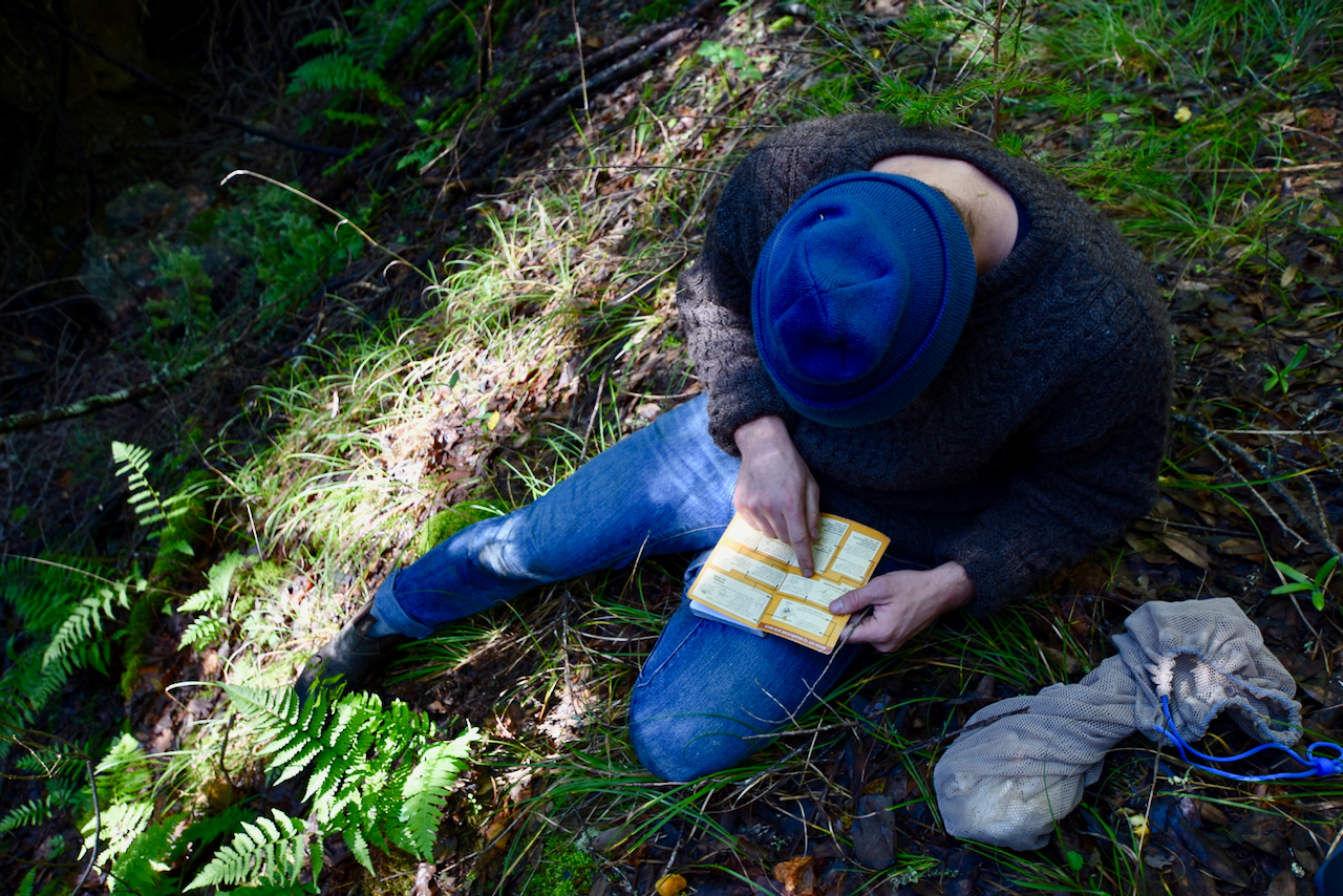 Person in a blue hat reading a small yellow book while sitting on a forest floor