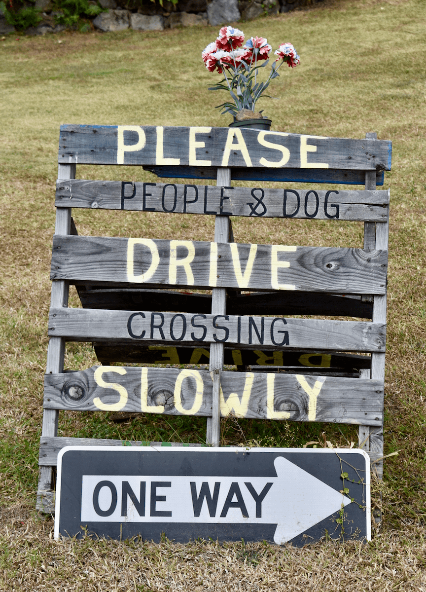 Wooden sign reading 'PLEASE PEOPLE & DOG DRIVE CROSSING SLOWLY' with a ONE WAY arrow